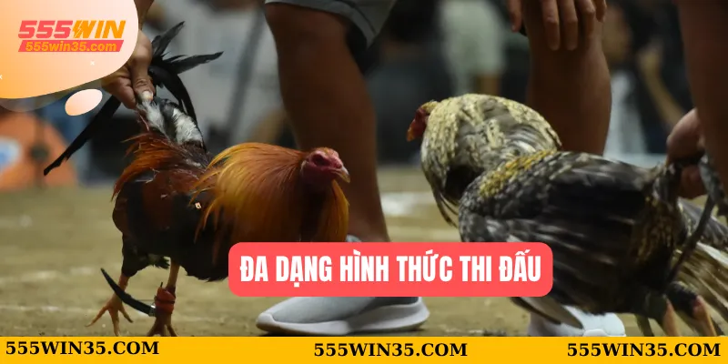 Đa dạng hình thức thi đấu