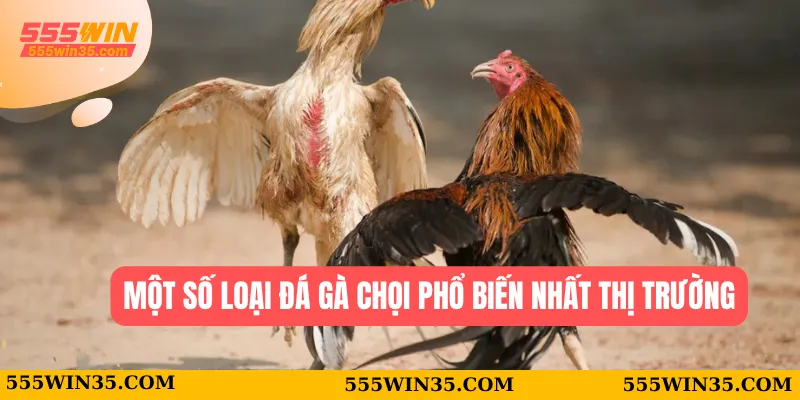 Một số loại đá gà chọi  phổ biến nhất thị trường