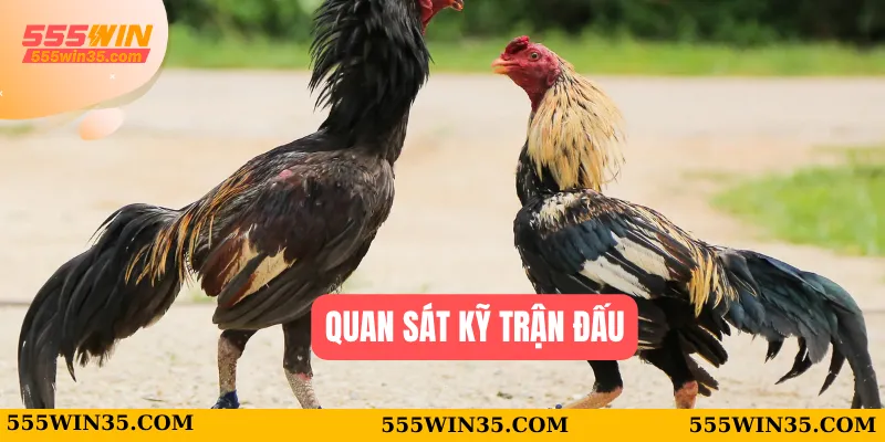 Quan sát kỹ trận đấu