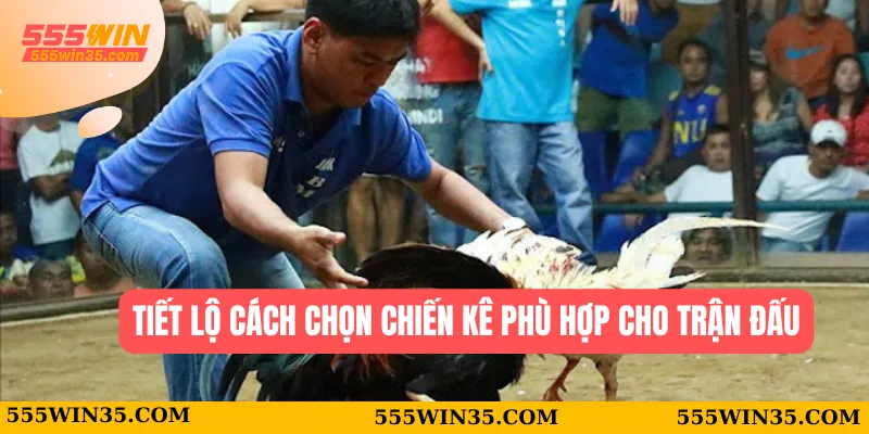 Tiết lộ cách chọn chiến kê phù hợp cho trận đấu